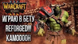 БЕТА REFORGED ONLINE!!!! 💾 Warcraft 3 The Frozen Throne