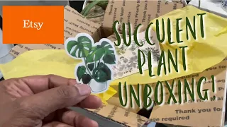 401: Unboxing One Of My Genera! There’s Always Room For 1 More Plant | Etsy Plant Shopping