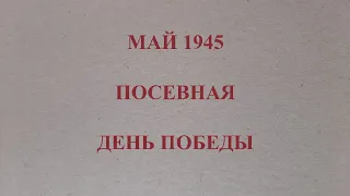 «...сейчас копну еще раз — и упаду и умру!»