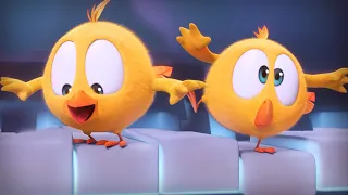 Where's Chicky? Funny Chicky 2022 | MUSIC CONCERT | Chicky Cartoon in English for Kids