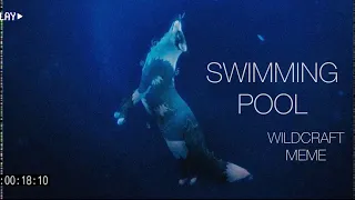 Swimming Pool // Wildcraft Meme