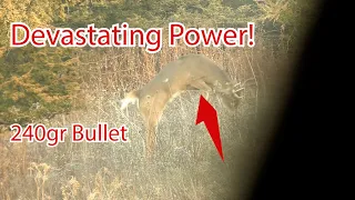 44 Magnum vs 10 Pointer Slow Motion