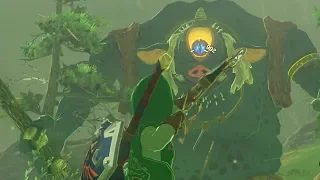 How to get 999 Arrows (Infinite Arrow Farming Trick) - Zelda BOTW