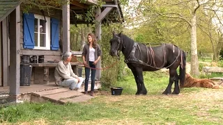 La ferme du Bec Hellouin, un modèle au niveau mondial - Météo à la carte