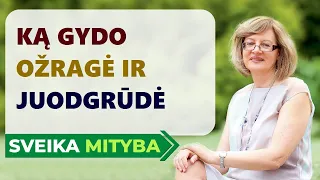 Mitybos formulė | Ką gydo ožragė ir juodgrūdė?