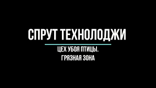 Работа цеха убоя птицы. ВНИМАНИЕ грязная зона!