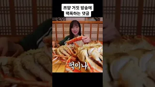 쯔양 거짓방송에 난리난 댓글