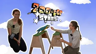 ZooperStars Ep 5: Macaw