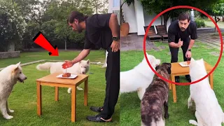 Watch MS Dhoni Wins Everyone Heart By Celebrating 42nd Birthday With His Pet Dogs