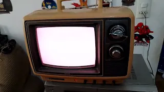 tv de tubo pequena colorida semp toshiba funcionando antiga vintage modelo TVC-101L