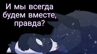 Коты воители / И мы всегда будем вместе, правда? /