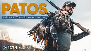 Así cacé 73 PATOS SALVAJES en un día 💥🦆 | Probamos el nuevo sistema BENELLI ADVANCED IMPACT