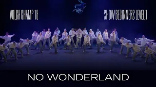 Volga Champ 18 | Show Beginners Level 1 | No wonderland