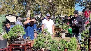 Tommy Lee, Robert Pressler, Albert Rivera, Nel Son, Ron Espiritu at the Bonsai Swap Meet 10.9.21