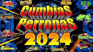 ⚡LAS MEJORES CUMBIAS SONIDERAS PARA BAILAR 2024 MIX CUMBIAS PERRONAS💃MIX GRUPO QUINTANNA,TEPOZ Y MÁS