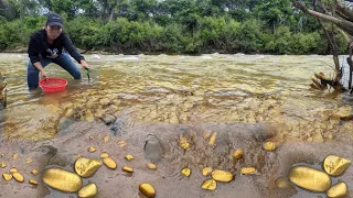 Golden river! Lots of gold nuggets can be found in riverbed and under sand