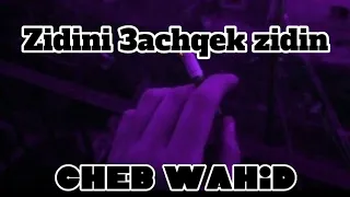 Cheb Wahid - zidini 3achqek zidini (slowed)