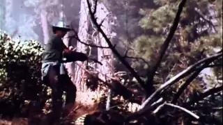 WILDFIRE! - True Story of Firefighters vs. Out of Control Forest Fire