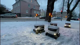 В Эстонии роботы-курьеры встали в пробку из-за снегопада