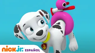 ¡Rescate en un volcán con el Air Patroller! | Nick Jr. en Español