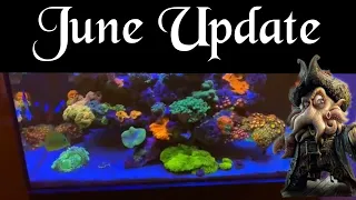 Reef Aquarium - eaReef Pro 900 - Episode 35 - June Update