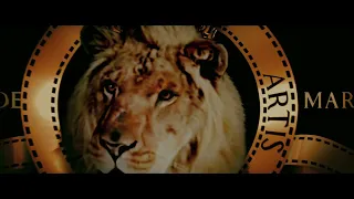 Metro-Goldwyn-Mayer/Columbia Pictures (2012)