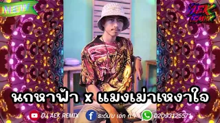 #กำลังฮิต!!⚡ ( นกหาฟ้า x แมลงเม่าเหงาใจ - บ่าววี ) #สายปาร์ตี้🚀 หลายคนตามหา!! Deejayz Aek Remix