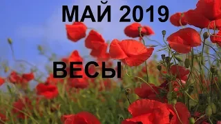 ВЕСЫ Таро гороскоп на МАЙ 2019