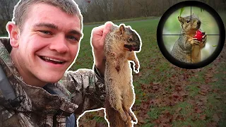 Hunting FOX Squirrels with an AIR RIFLE! (Scope Cam)