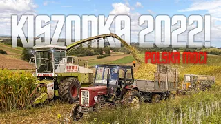 Kukurydza Na Kiszonke 2022 W Polskim Stylu I Claas Jaguar 685 I 4xUrsus C-360 I Ursus912 I Zetor7211