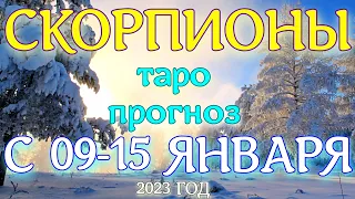 ГОРОСКОП СКОРПИОНЫ С 09 ПО 15 ЯНВАРЯ НА НЕДЕЛЮ. 2023 ГОД