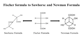 How to convert Fischer Projection into Sawhorse and Newman Projection