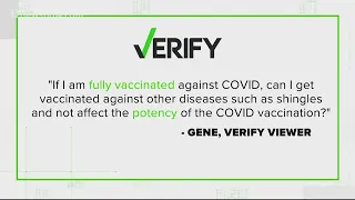 VERIFY: Is there evidence that other vaccines make your COVID-19 vaccine less effective?