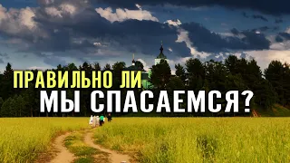 Критерии верного пути спасения. Как уберечься от прелести? Лжеучителя и лжестарцы