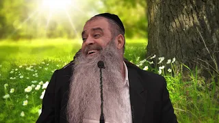 כשיש חיבור - יש אור! | הרב רפאל זר HD