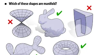 Lecture 10: Meshes and Manifolds (CMU 15-462/662)