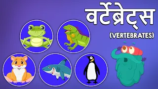 वर्टेब्रेट्स | Vertebrates In Hindi | कशेरुका | Dr Binocs Show |हदट्टडीवले जानवर |Educational Videos
