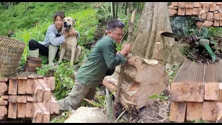 spraying video process of sawing trees to build houses | Daily life of father and son |