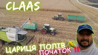 Кукудза🌽🌽 🌽  …початок збирання‼️