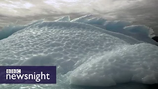 Brexit: Lessons from Greenland - BBC Newsnight