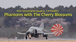 Phantom Flower・JASDF F-4 Phantom - ASMR