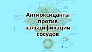 Антиоксиданты против кальцификации сосудов