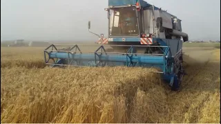 Жътва  на пшеница с Fortschritt E516 - Wheat harvest combine E516