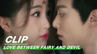 Dongfang Qingcang Could Not Help To Kiss Orchid | Love Between Fairy and Devil EP22 | 苍兰诀 | iQIYI