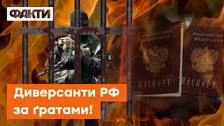 КАТУВАЛИ атовців на Харківщині! Диверсанти РФ у руках СБУ