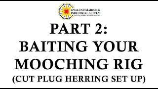 Baiting Your Mooching Rig with Herring