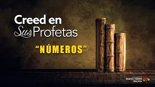 Creed en sus Profetas - Números 4