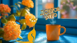 Футаж🏵️ С Добрым Утром☀️ С Новым Днем🐈 Мир И Радость Будет В Нём☕