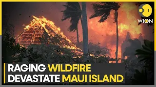 Maui Island: Dest, death & destruction takes over Hawaii islands after fire | WION