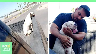 Homem dá um último passeio com seu cachorro antes dele partir